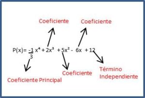 Los Polinomios, Sus Elementos Y Su Clasificacion; Ejemplos Resueltos