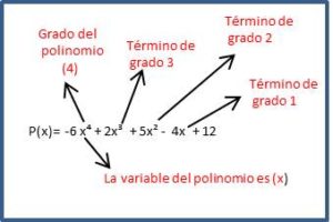 Los Polinomios, Sus Elementos Y Su Clasificacion; Ejemplos Resueltos