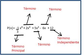 Términos de un Polinomio